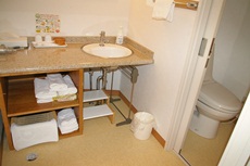 トイレ・洗面所の一例。左側に洗面、右側にトイレ